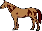 image004